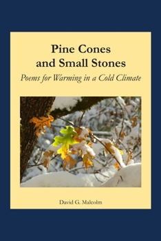 Paperback Pine Cones and Small Stones Book