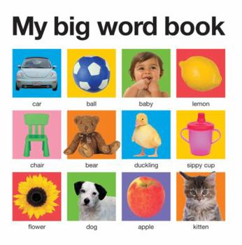 My Big Word Book - Book  of the Priddy Books Big Ideas for Little People