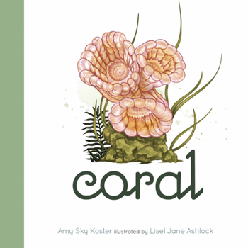 Board book Coral Book