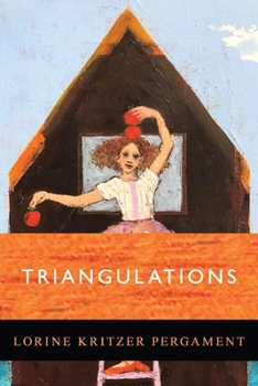 Paperback Triangulations Book