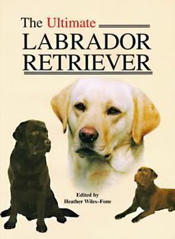 Hardcover The Ultimate Labrador Retriever Book