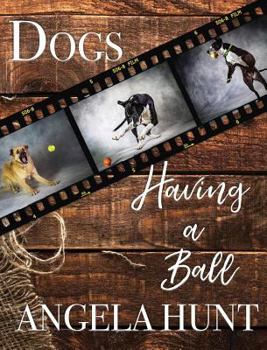 Hardcover Dogs Having a Ball Book