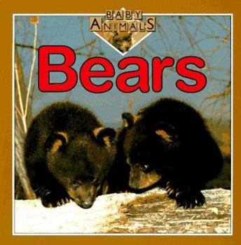 Paperback Bears Book