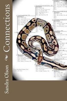 Paperback Connections Book