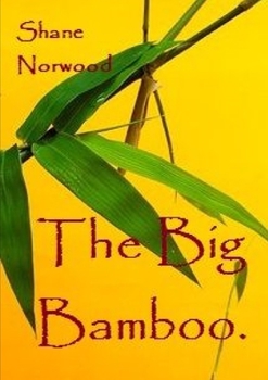 Paperback The Big Bamboo Book