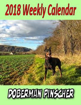 Paperback 2018 Weekly Calendar Doberman Pinscher Book