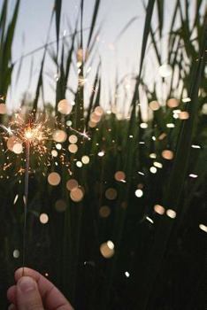 Dazzling Sparkler in a Corn Field: 150 page lined 6 x 9 notebook/diary/journal