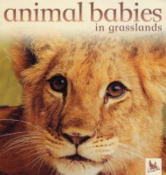 Hardcover Animal Babies in Grasslands Book