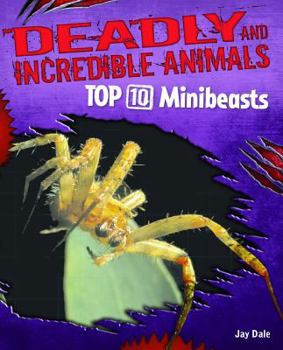 Library Binding Top 10 Minibeasts Book