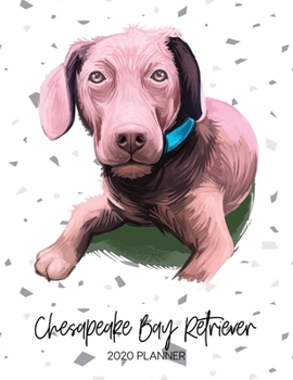 Chesapeake Bay Retriever 2020 Planner : Dated Weekly Diary with to Do Notes & Dog Quotes