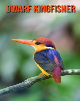 Paperback Dwarf Kingfisher: Beautiful Pictures & Interesting Facts Children Book About Dwarf Kingfisher Book