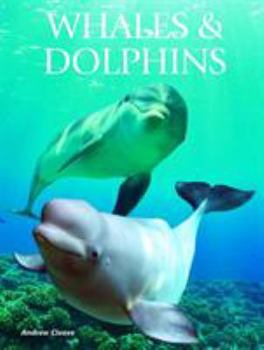Hardcover Whales & Dolphins Book