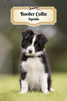 2020 Border Collie Agenda: 107 Pagine - Dimensioni DIN A5 - Pianificatore Settimanale - 12 Mesi - Due Pagine Per Settimana - Calendario - Diario - Cane