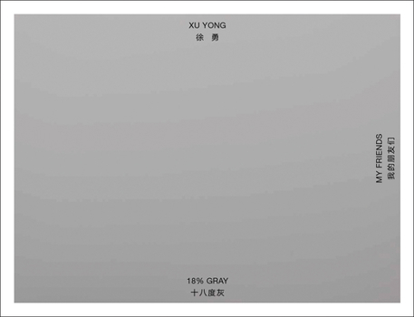 Xu Yong: 18% Gray / My Friends