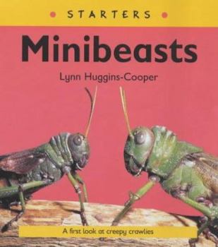 Read Write Inc. Comprehension: Module 24: Children's Book MiniBeasts