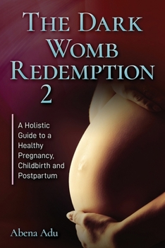 The Dark Womb Redemption 2: A holistic guide to a healthy pregnancy, childbirth and postpartum