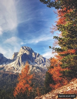 Agenda anual 2020: Agenda anual para 2020, 12 meses, agenda de 52 semanas  con tareas y metas; formato A4+; motivo: Berge (Spanish Edition)