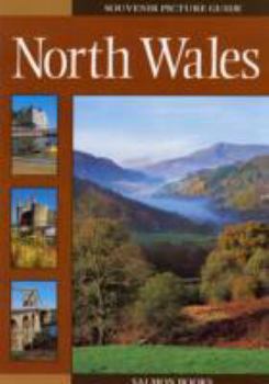 Paperback North Wales (Salmon guides) Book