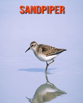 Paperback Sandpiper: Amazing Facts about Sandpiper Book