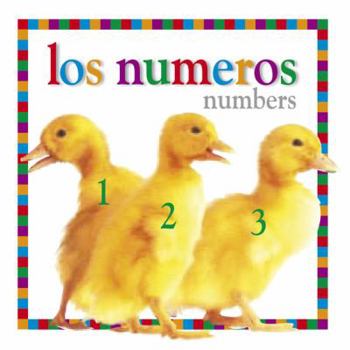Board book Los Numeros/Numbers Book