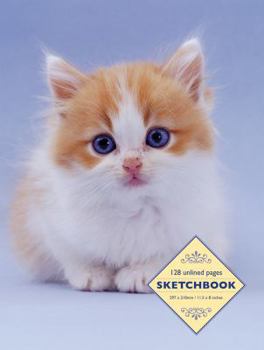 Spiral-bound Sketchbook: Kitten: 128 Unlined Pages Book