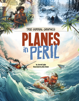 Hardcover Planes in Peril Book