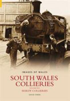 Paperback South Wales Collieries 5: Mardy Book