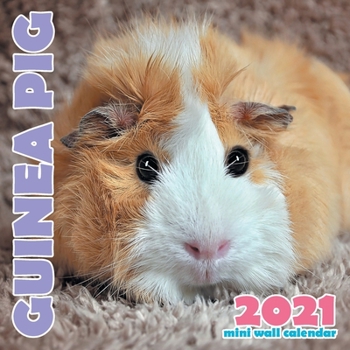 Paperback Guinea Pig 2021 Mini Wall Calendar Book