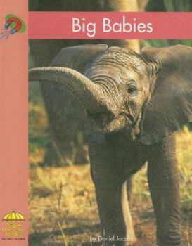 Bebes Que Son Grandes/ Big Babies (Yellow Umbrella Books. Science. Spanish.) - Book  of the Yellow Umbrella Books: Science ~ Spanish