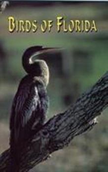 Paperback Birds of Florida Book