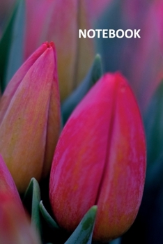 Paperback Notebook: Single tulip flower Nifty Composition Book Daily Journal Notepad Diary Student for notes on modern tulip arrangements Book