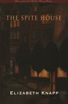 Paperback The Spite House Book