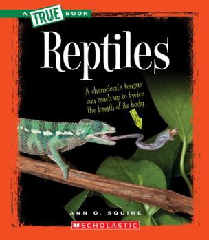 Paperback Reptiles (a True Book: Animal Kingdom) Book