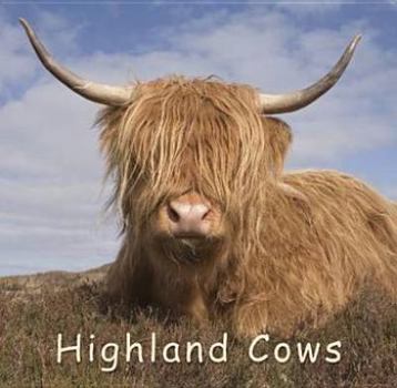 Paperback Highland Cows Book