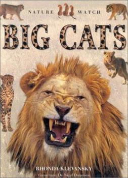 Hardcover Big Cats Book