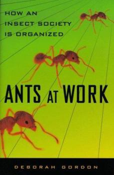 Hardcover Ants at Work: How an Insect Society Is Organized Book