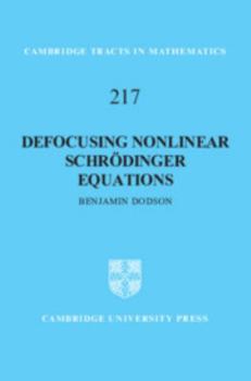Hardcover Defocusing Nonlinear Schrödinger Equations Book