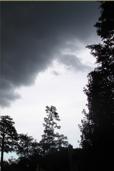 Paperback A Poet Under Water: Drowning In Pain Book