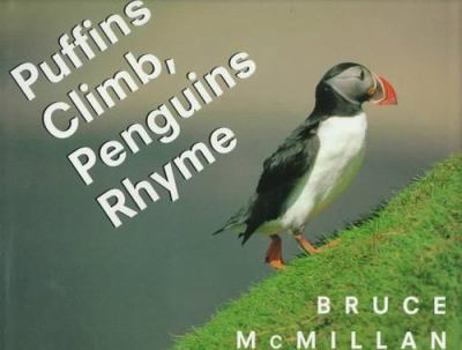 Hardcover Puffins Climb, Penguins Rhyme Book