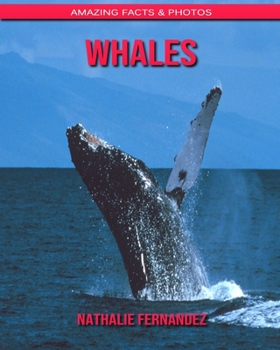 Whales: Amazing Facts & Photos