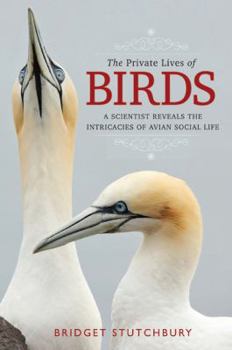 Hardcover The Private Lives of Birds: A Scientist Reveals the Intricacies of Avian Social Life Book