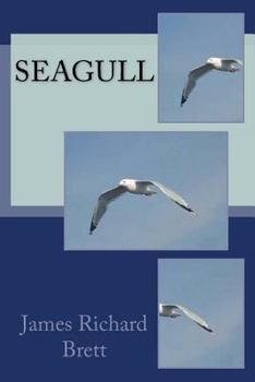 Paperback Seagull Book