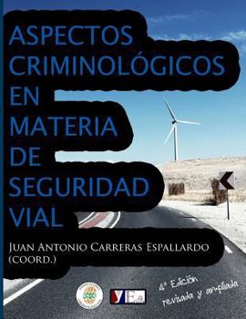 Aspectos criminológicos en materia de seguridad vial