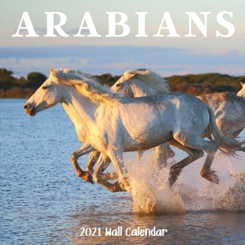 Arabians 2021 Wall Calendar: Arabian Horses Calendar 2021, 18 Months