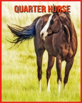 Paperback Quarter Horse: Informations Int?ressantes Concernant les Quarter Horse [French] Book