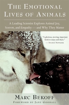 Hardcover The Emotional Lives of Animals: A Leading Scientist Explores Animal Joy, Sorrow, and Empathy -- And Why They Matter Book