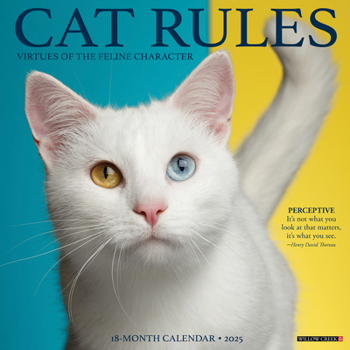Calendar Cat Rules 2025 12 X 12 Wall Calendar Book