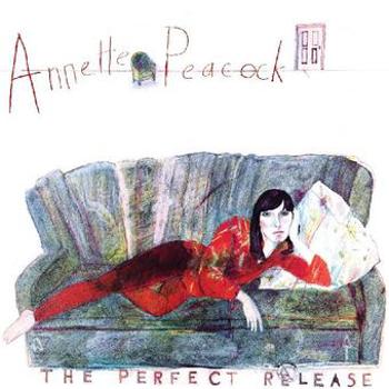 Vinyl The Perfect Release (Red Vinyl) Book