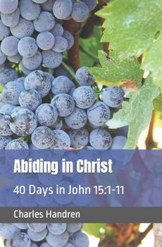 Paperback Abiding in Christ: 40 Days in John 15:1-11 Book