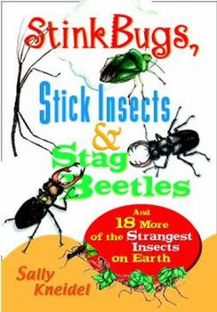 Paperback Stink Bugs, Stick Insects, and Stag Beetles: And 18 More of the Strangest Insects on Earth Book
